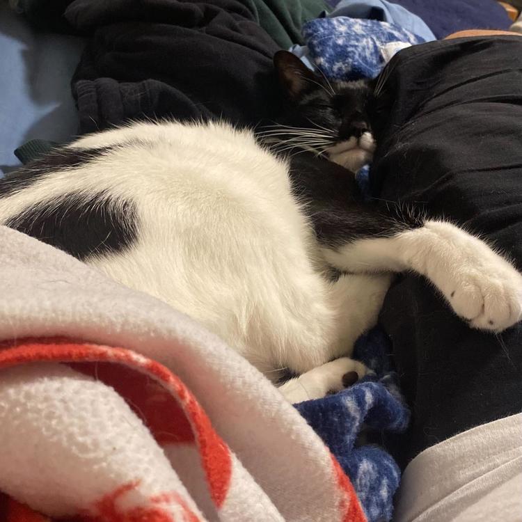 Tina