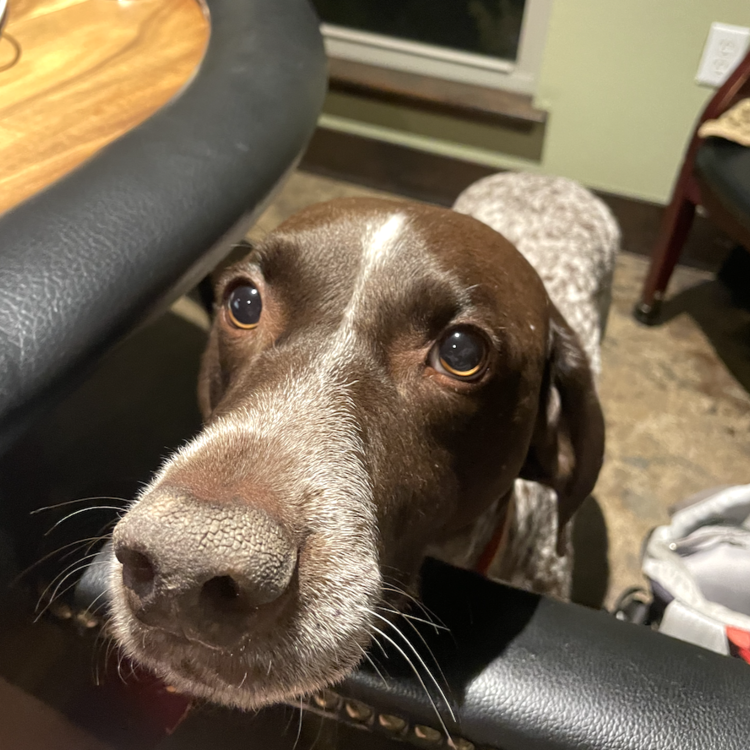 Mabel