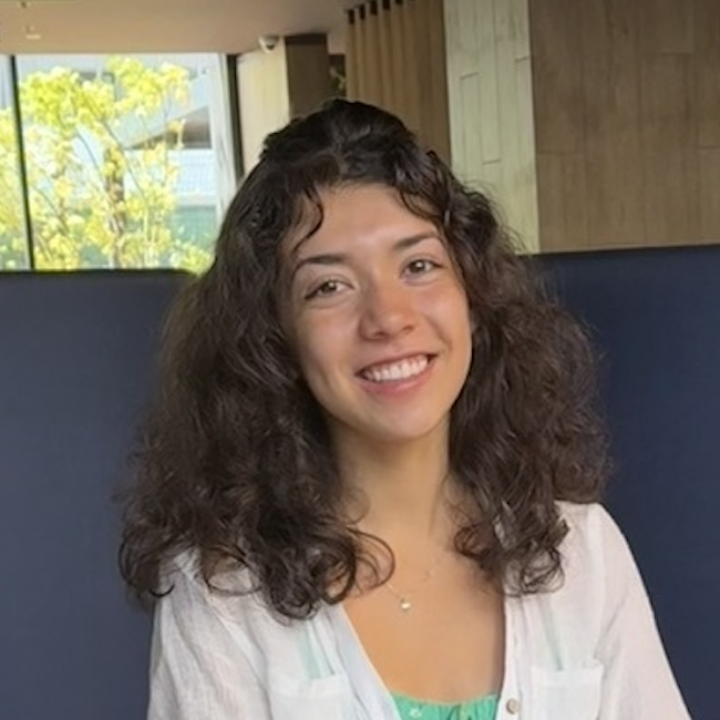 Amparo